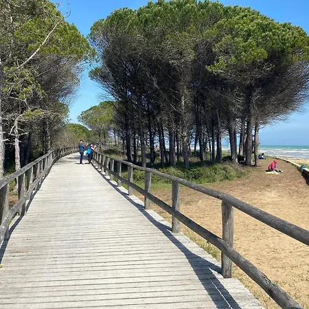 Sea View Escape At Lido Dei Pini ביביונה